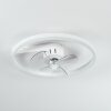 Oleiro ventilatore da soffitto LED Grigio, Bianco, 1-Luce, Telecomando