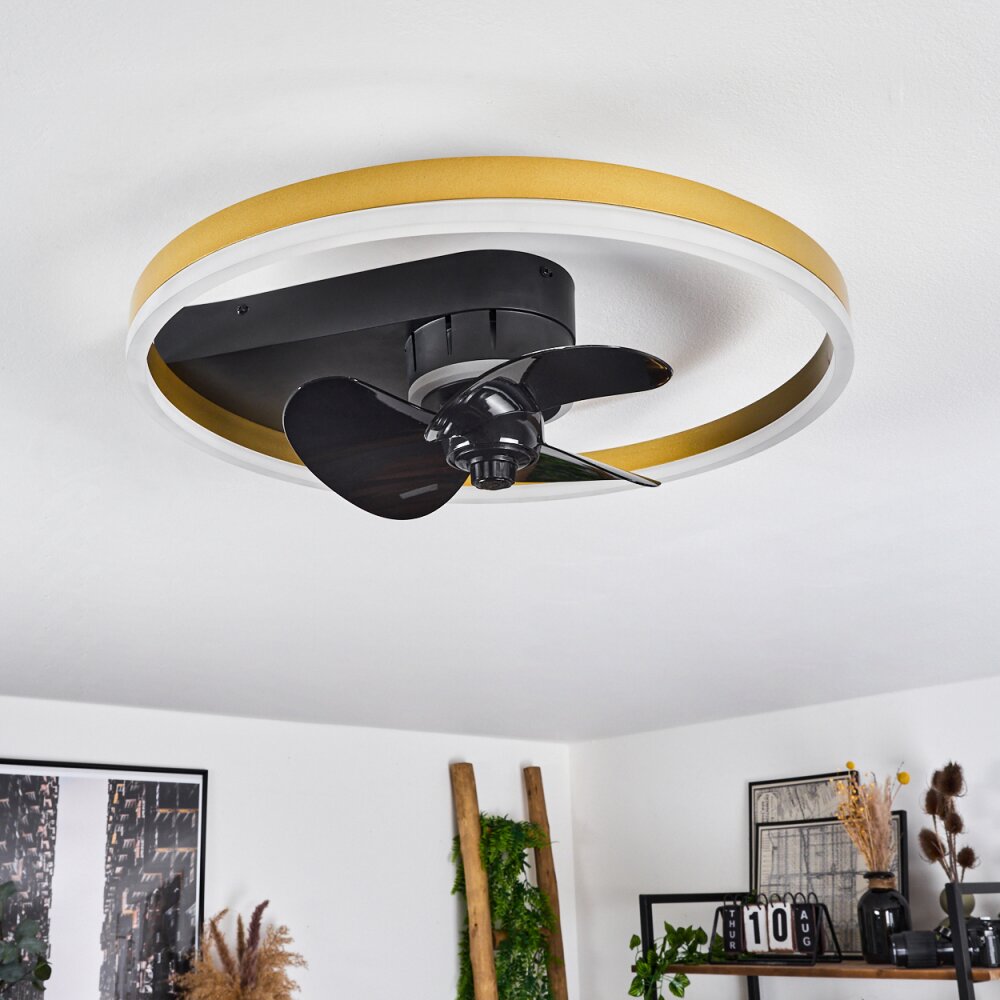 Oleiro ventilatore da soffitto LED Oro, Nero, Bianco, 1-Luce, Telecomando