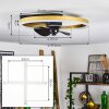 Oleiro ventilatore da soffitto LED Oro, Nero, Bianco, 1-Luce, Telecomando