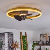 Oleiro ventilatore da soffitto LED Oro, Nero, Bianco, 1-Luce, Telecomando