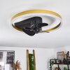 Oleiro ventilatore da soffitto LED Oro, Nero, Bianco, 1-Luce, Telecomando
