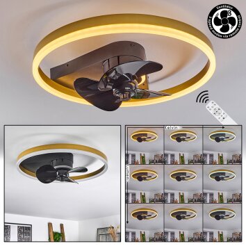 Oleiro ventilatore da soffitto LED Oro, Nero, Bianco, 1-Luce, Telecomando