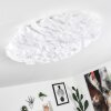 Adegoiva Plafoniera LED Bianco, 1-Luce