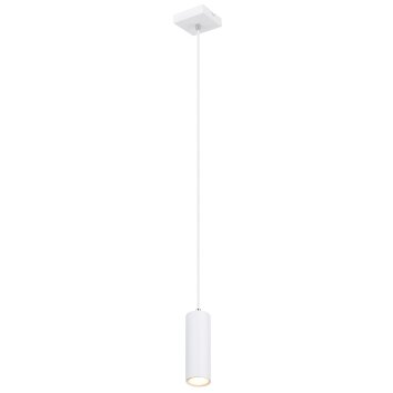 Globo ROBBY Lampadario a sospensione Bianco, 1-Luce