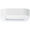Brillliant Whittaker Plafoniera da esterno LED Bianco, 1-Luce
