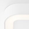 Brillliant Whittaker Plafoniera da esterno LED Bianco, 1-Luce