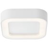 Brillliant Whittaker Plafoniera da esterno LED Bianco, 1-Luce