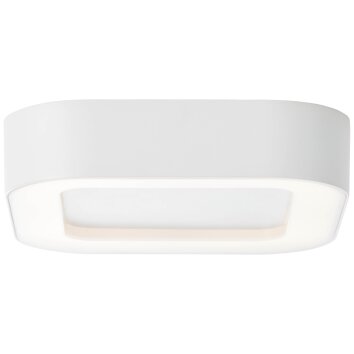 Brillliant Whittaker Plafoniera da esterno LED Bianco, 1-Luce