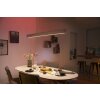 Philips Hue White & Colour Ambiance Ensis Lampada a Sospensione LED Bianco, 2-Luci, Cambia colore