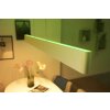 Philips Hue White & Colour Ambiance Ensis Lampada a Sospensione LED Bianco, 2-Luci, Cambia colore