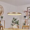 Charata Lampada a Sospensione LED Ottone, 1-Luce