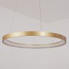 Charata Lampada a Sospensione LED Ottone, 1-Luce