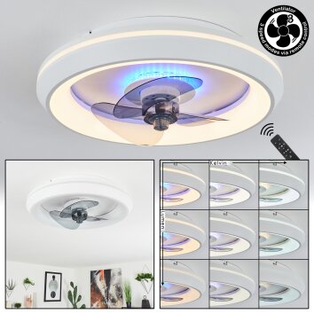 Tirkkala ventilatore da soffitto LED Bianco, 1-Luce