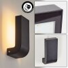 Kirkhall Applique da esterno LED Nero, 1-Luce