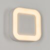 Paleroo Applique da esterno LED Bianco, 1-Luce