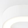 Brilliant Whittaker Applique da esterno LED Bianco, 1-Luce