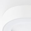 Brilliant Whittaker Applique da esterno LED Bianco, 1-Luce