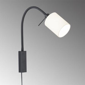 Fischer & Honsel Maui Applique Nero, 1-Luce