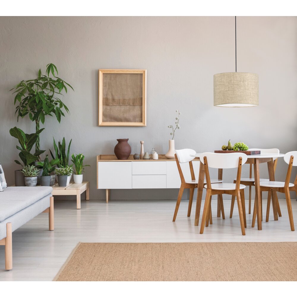 Fischer & Honsel Vigo Lampadario a sospensione Nero, 1-Luce main product photo