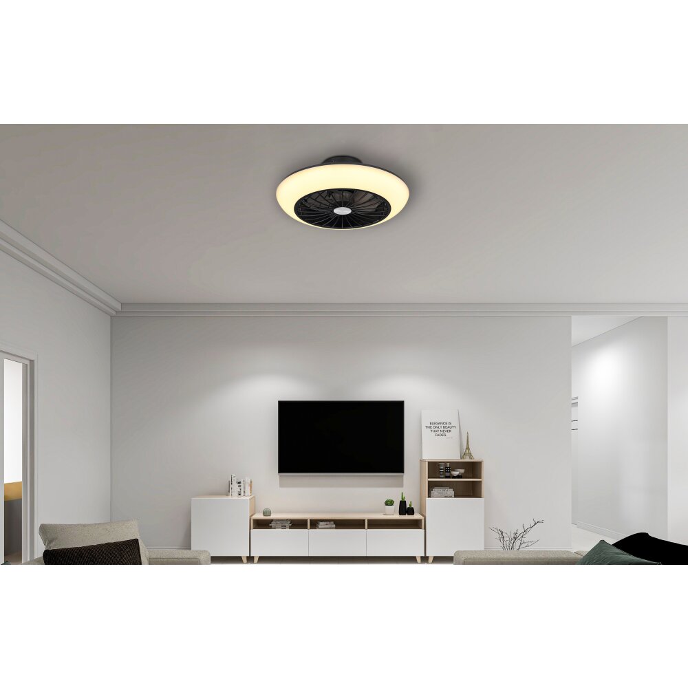 Globo LAFEE ventilatore da soffitto LED Nero, 1-Luce main product photo