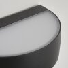 Fletcher Applique da esterno LED Antracite, 2-Luci