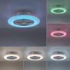 Leuchten-Direkt PATRICK ventilatore da soffitto LED Argento, 1-Luce, Telecomando, Cambia colore