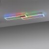 Leuchten-Direkt FELIX60 Plafoniera LED Acciaio satinato, 1-Luce, Telecomando, Cambia colore