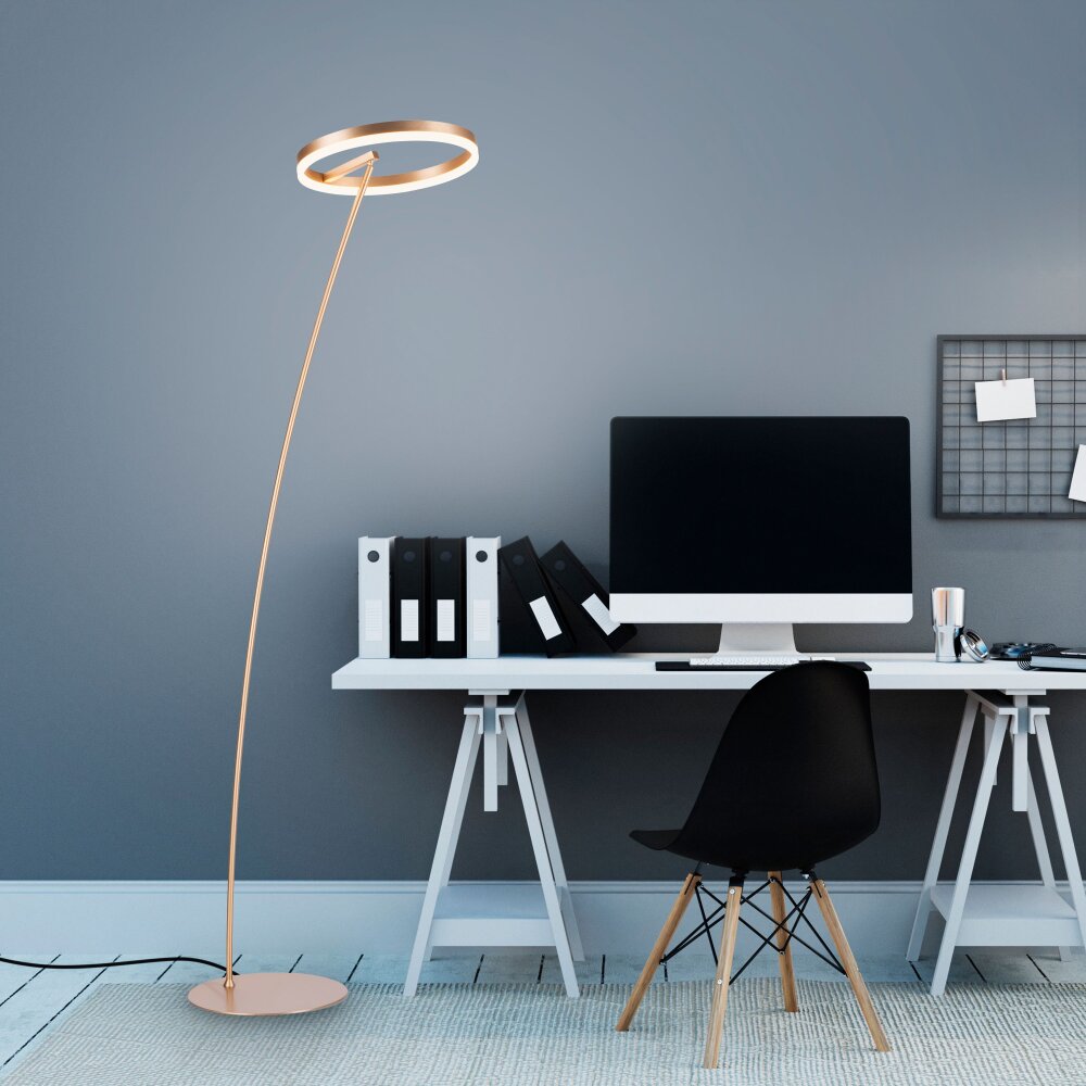 Paul-Neuhaus TITUS Lampada da terra LED Ottone, 1-Luce main product photo