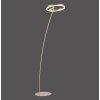 Paul-Neuhaus TITUS Lampada da terra LED Ottone, 1-Luce