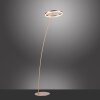 Paul-Neuhaus TITUS Lampada da terra LED Ottone, 1-Luce