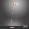 Paul-Neuhaus TITUS Lampada da terra LED Ottone, 1-Luce