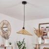 Callide Lampadario a sospensione Nero, 1-Luce