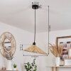 Callide Lampadario a sospensione Nero, 1-Luce