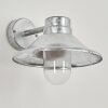 Pumiri Applique da esterno LED Zincato, 1-Luce