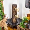 Canedo Lampada da tavolo Legno scuro, Nero, 2-Luci