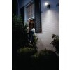LEDVANCE Smart+ Faretto da giardino Grigio, 1-Luce, Sensori di movimento