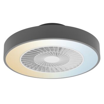LEDVANCE Smart ventilatore da soffitto Grigio, 1-Luce, Telecomando