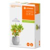 LEDVANCE Indoor Garden Lampada a picchetto Bianco, 1-Luce