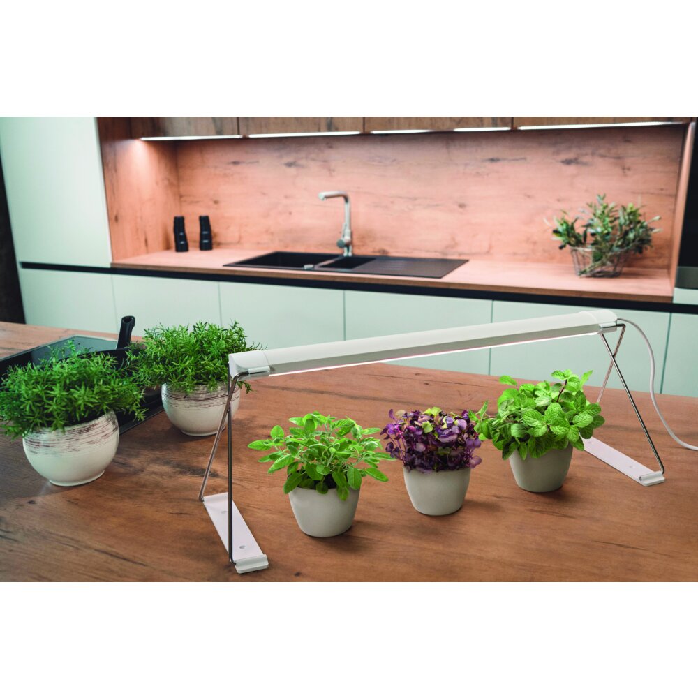 LEDVANCE Indoor Garden Lampada da tavolo Bianco, 1-Luce main product photo