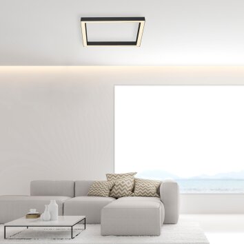 Paul-Neuhaus PURE-LINES Plafoniera LED Antracite, 1-Luce, Telecomando