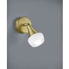 Trio-Leuchten Trumpet Applique Ottone, 1-Luce