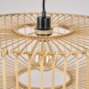 Callide Lampadario a sospensione Nero, 1-Luce
