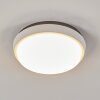 Centinela Plafoniera da esterno LED Antracite, Bianco, 1-Luce