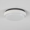 Centinela Plafoniera da esterno LED Antracite, Bianco, 1-Luce