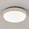 Centinela Plafoniera da esterno LED Antracite, Bianco, 1-Luce