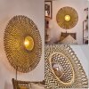 Shelbourne Applique Nero, 1-Luce