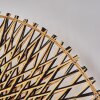 Shelbourne Applique Nero, 1-Luce