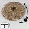 Shelbourne Applique Nero, 1-Luce
