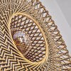 Shelbourne Applique Nero, 1-Luce