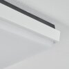 Gomero Plafoniera da esterno LED Antracite, Bianco, 1-Luce